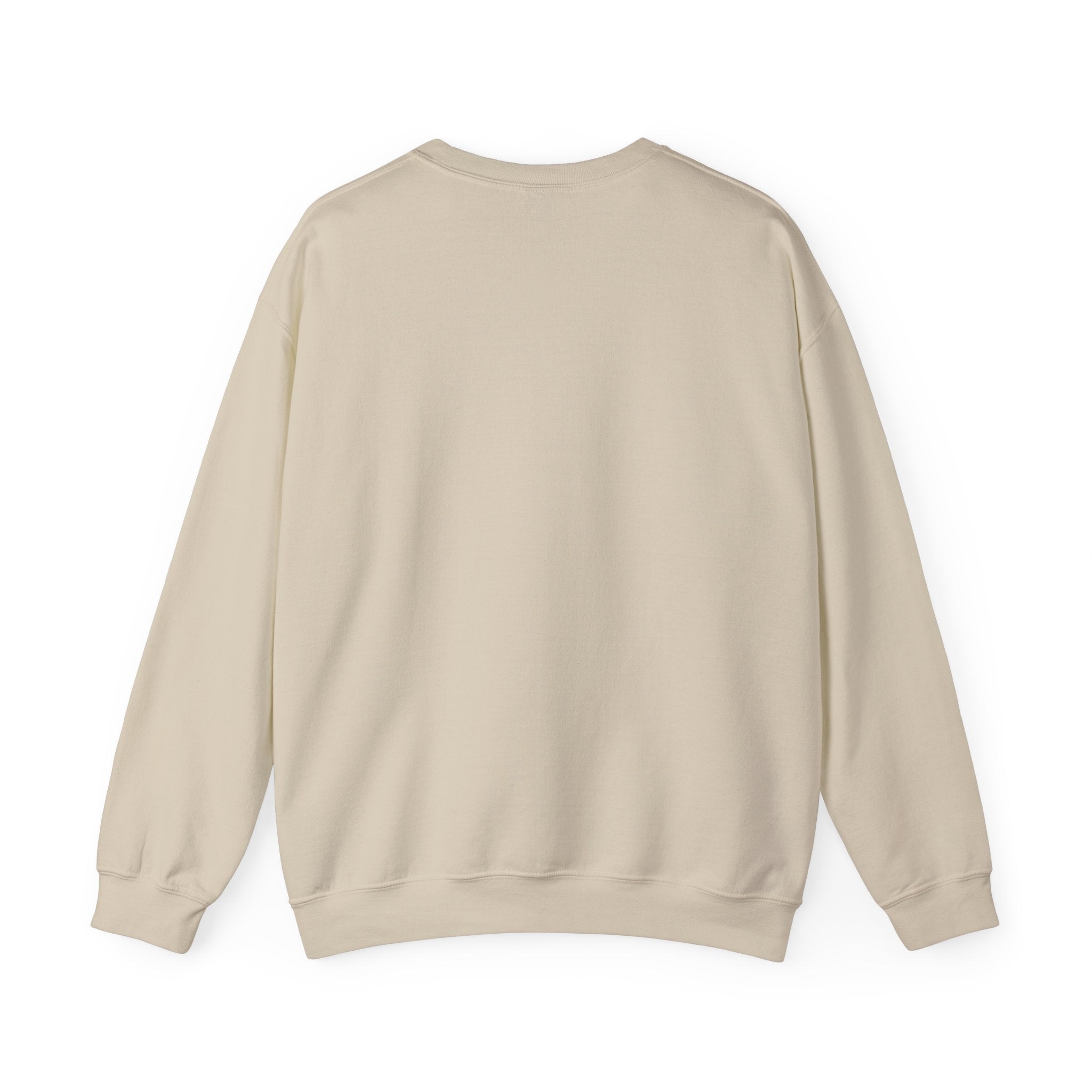Professional Overthinker Sweatshirt | sarcastic shirt, self-deprecating quote
