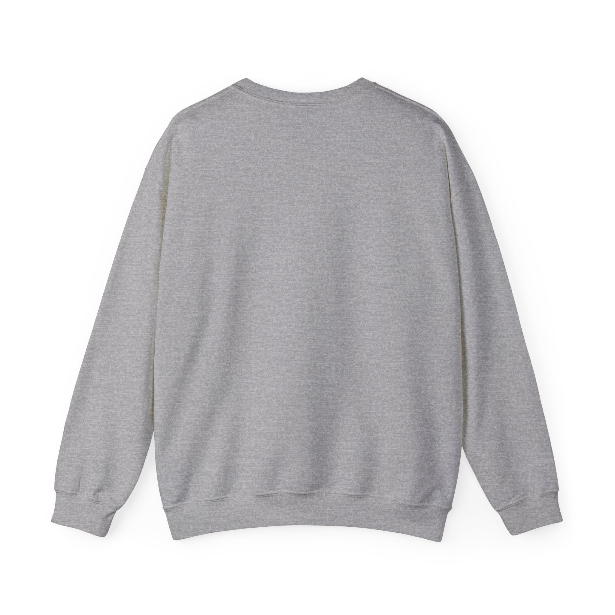Professional Overthinker Sweatshirt | sarcastic shirt, self-deprecating quote