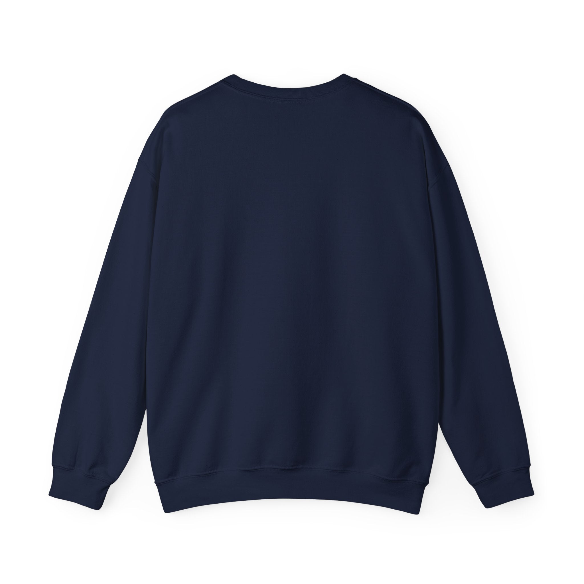 Professional Overthinker Sweatshirt | sarcastic shirt, self-deprecating quote