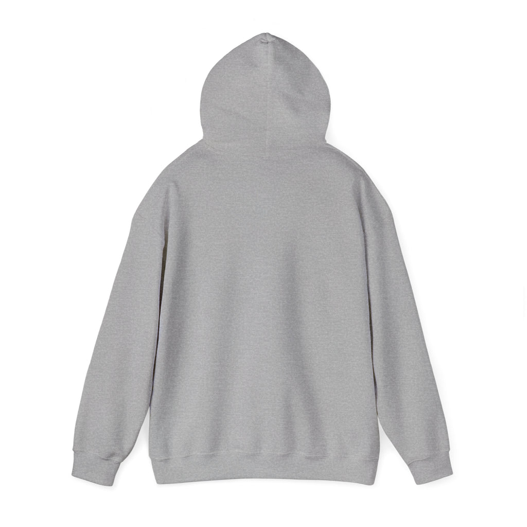 over it sloth hoodie | sarcastic self-deprecating humor, introvert shirt